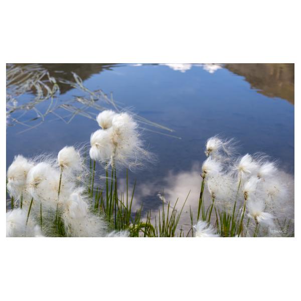 PHOTO84, CLUB, 84 , LUBERON